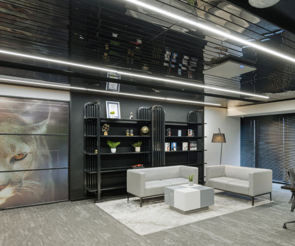 Project Puma: Modern office with sleek furniture, vibrant accents, and a dynamic atmosphere reflecting the brand’s energy.